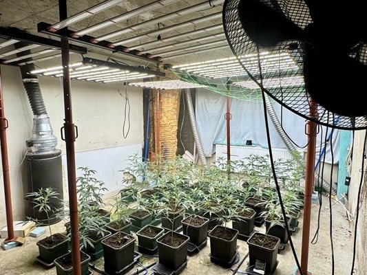 Домашна палаткова лаборатория и 265 г сух канабис открити в Сандански