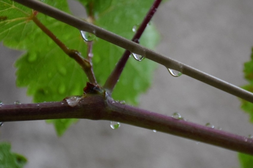 Облаци, валежи и вятър през уикенда: Температурите падат до минус 2°