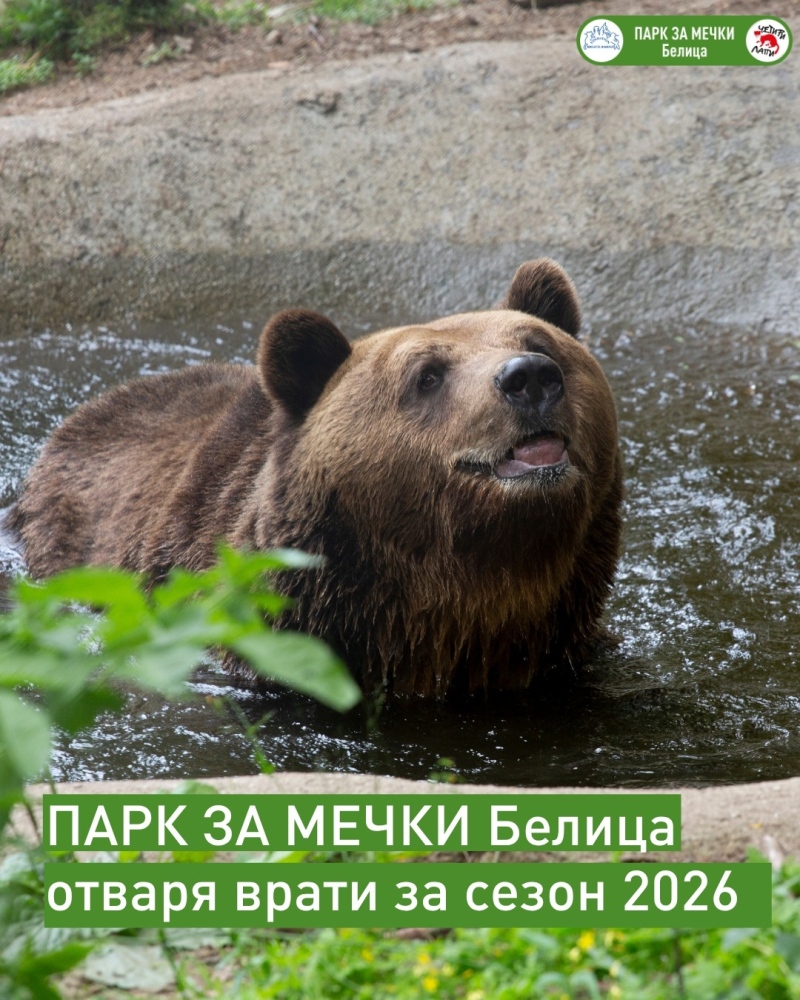 Първите мечки в Белица се събудиха, паркът отваря врати на 1 април