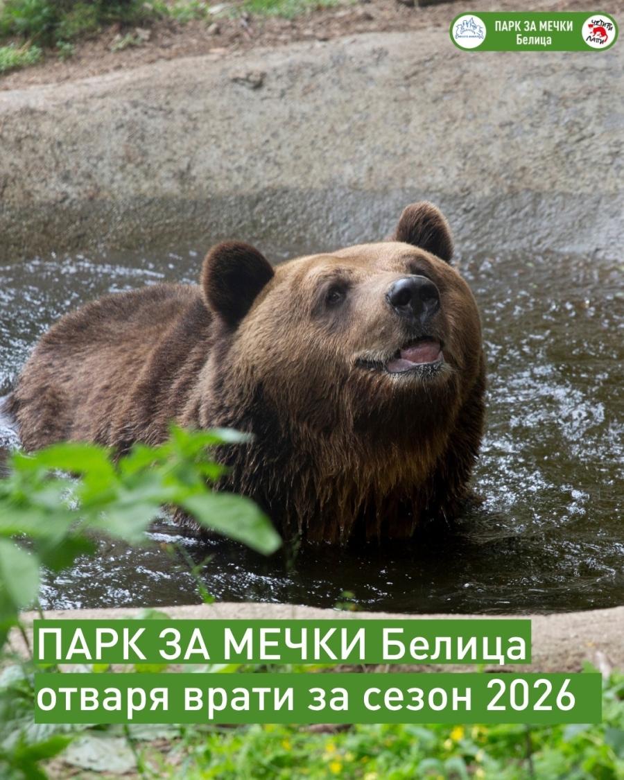 Първите мечки в Белица се събудиха, паркът отваря врати на 1 април