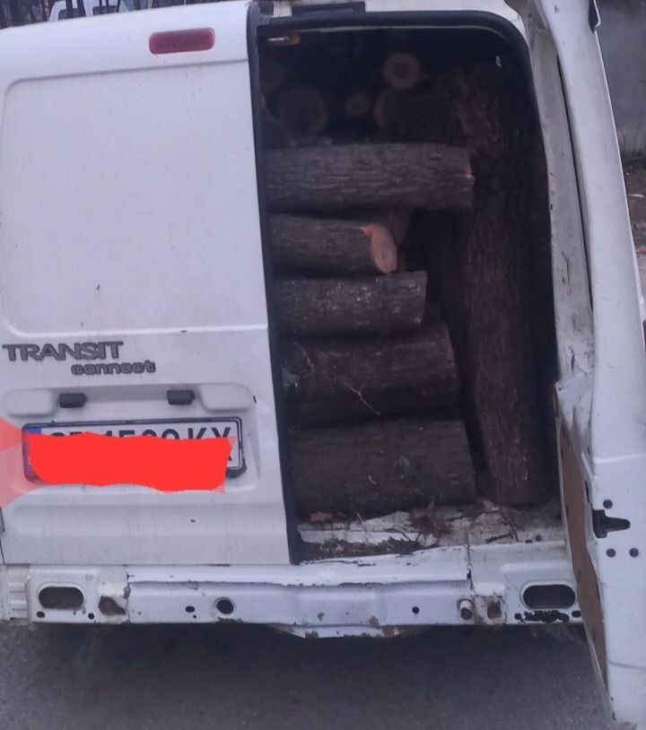 Горски задържаха немаркирани дърва и автомобили на нарушители при проверки в Ихтиманско