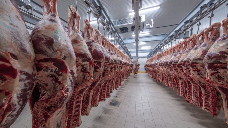 Тонове опасно месо на пазара: Разкриха незаконни кланици в Кърджалийско