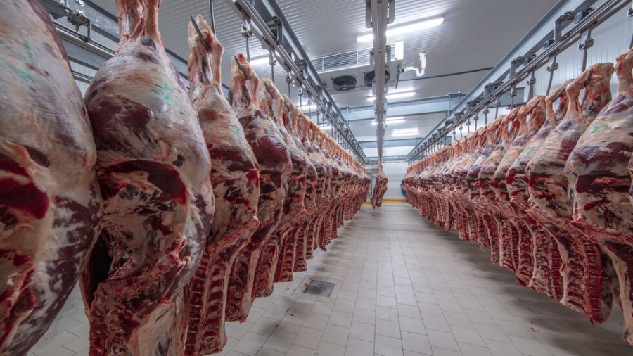 Тонове опасно месо на пазара: Разкриха незаконни кланици в Кърджалийско