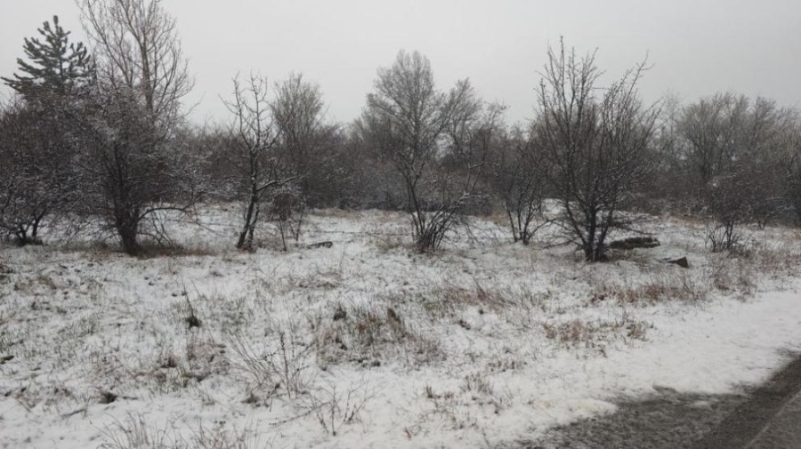 Снягът и студът в Югозапада застрашават цъфналите овошки