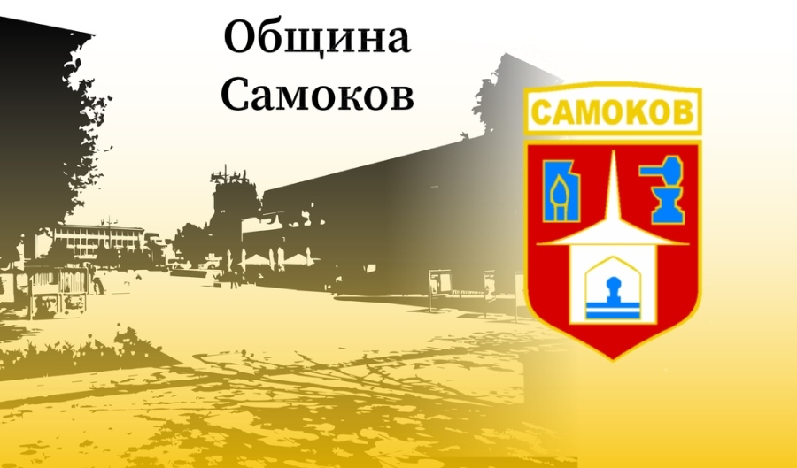 Община Самоков осигурява съдействие за гласуване на хора с увреждания за вота на 19 април