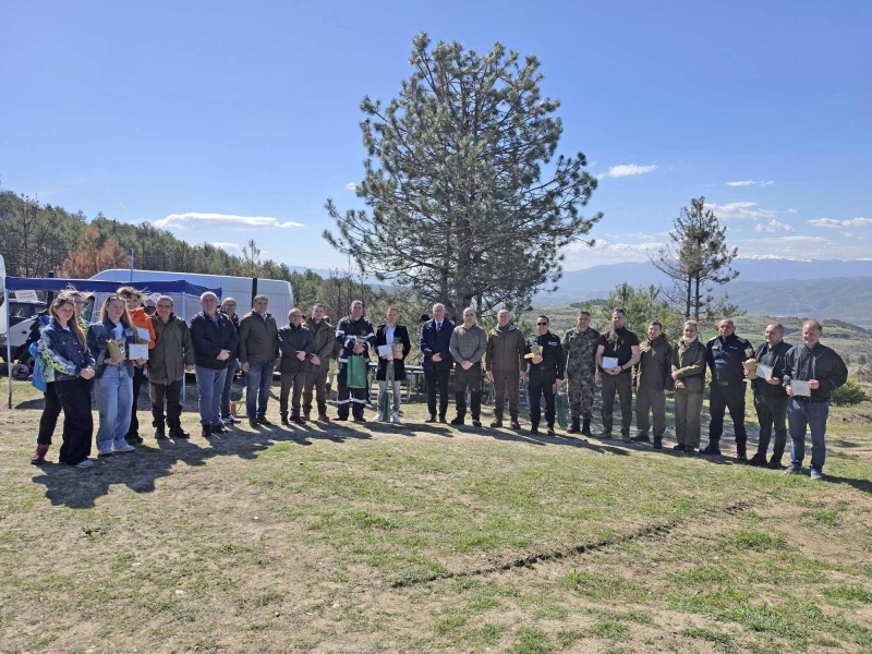 Над 3000 фиданки вдъхват нов живот на опожарения Пирин