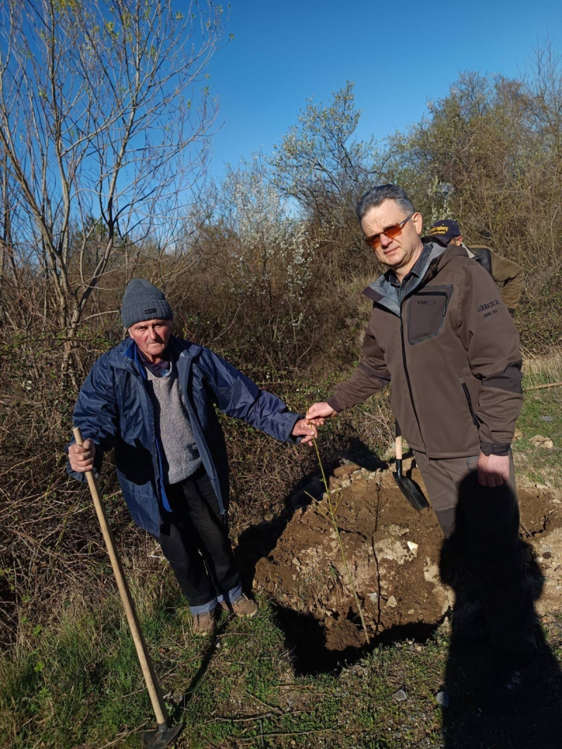 Сапарева баня отбеляза Седмицата на гората с 60 нови дръвчета край Ресиловския манастир