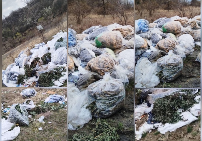 Мащабите изненадват: Над половин тон е откритият канабис в гориста местност край Голема Фуча