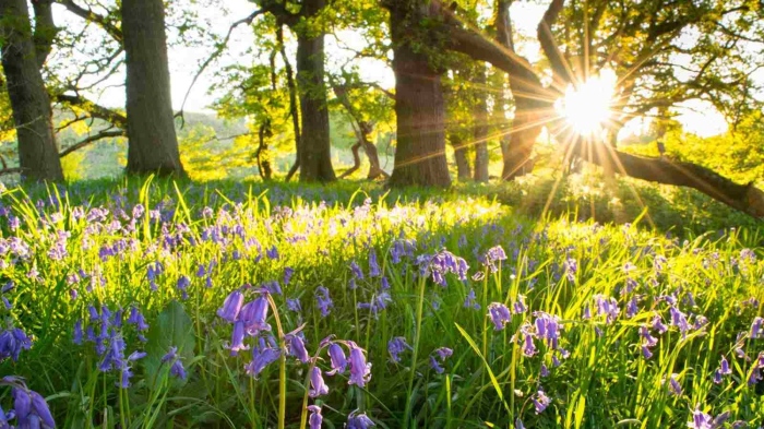 Времето се усмихва: Градусите се покачват до 21° в сряда