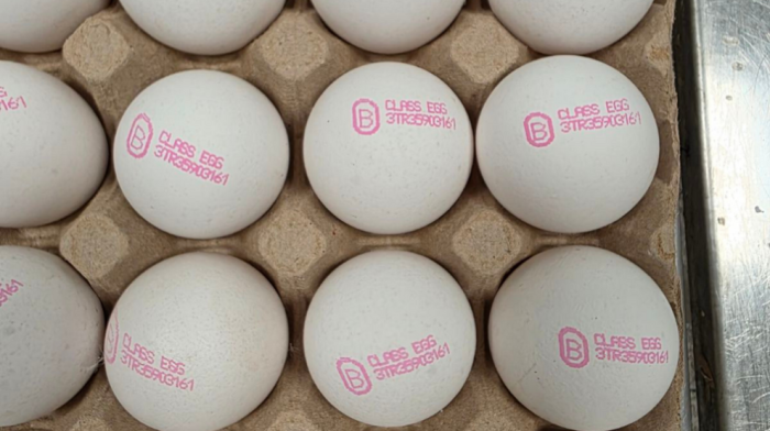 БАБХ върна близо 1,3 млн. яйца в Турция