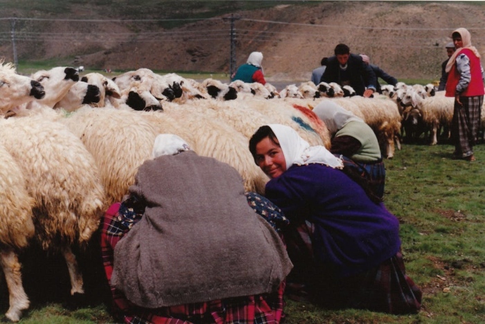 Турция дава по 100 животни и месечна подкрепа за дребни фермери