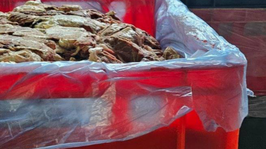 Заради лоша хигиена: БАБХ затвори кланица край Пловдив, унищожават близо 35 тона месо