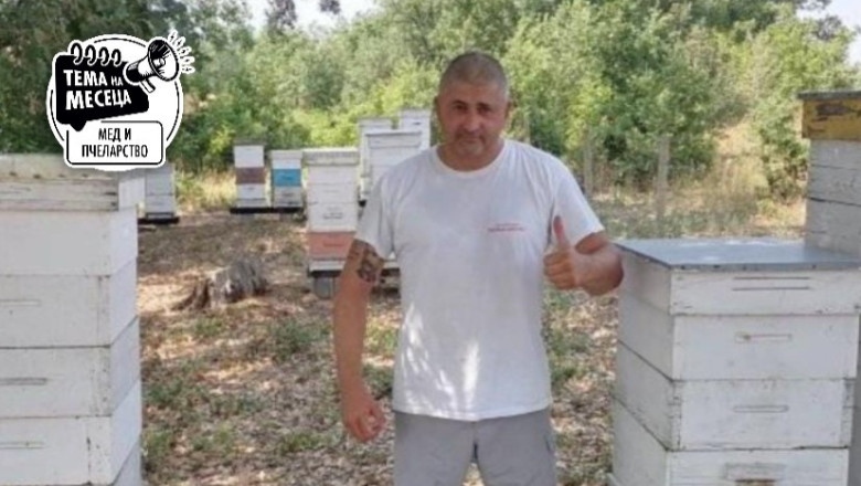 Евтин внос и неясен произход притискат пазара на мед в България