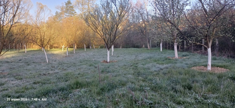 Слана попари овошки и ранни култури в Ярловци