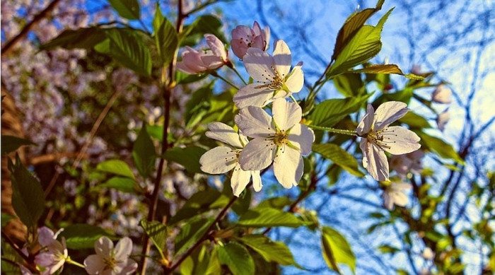 Слънчево, но с жълт код за вятър!