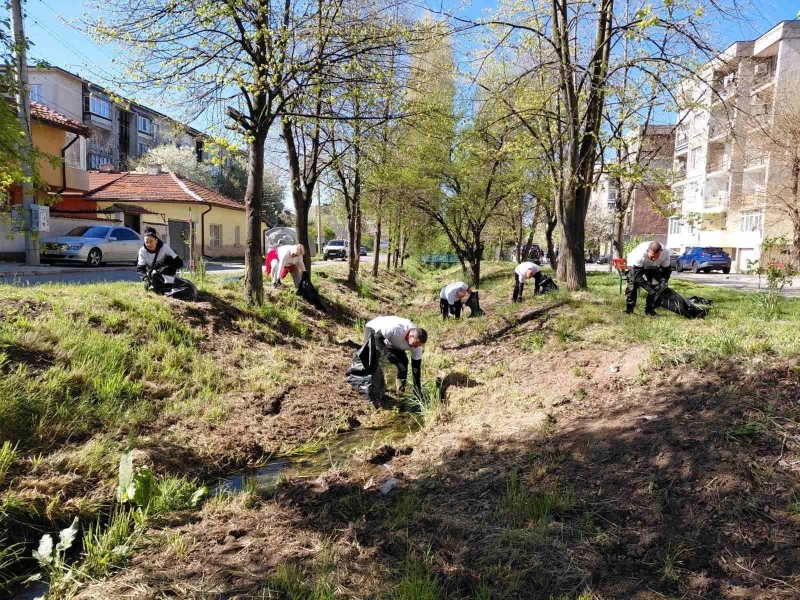 Над 1200 души почистиха Радомир в мащабна доброволческа акция