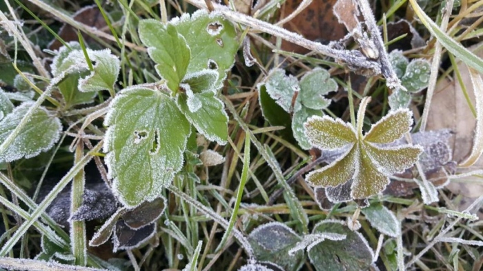 Внимание, слани във вторник: жълт код за София област, Перник, Кюстендил и Благоевград
