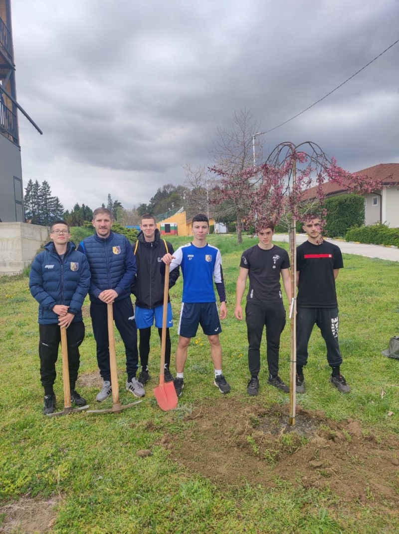 Японски вишни и череши разцъфват в Долна баня