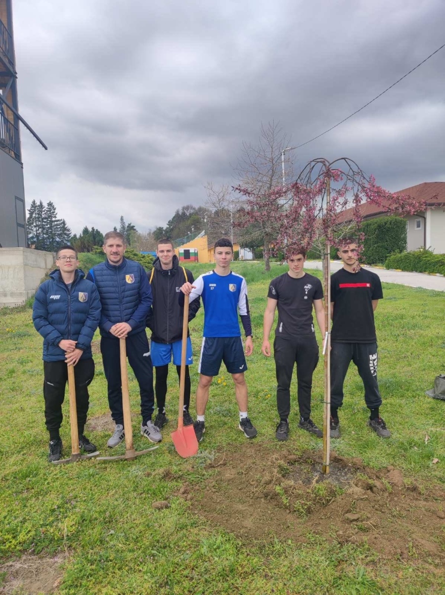Японски вишни и череши разцъфват в Долна баня
