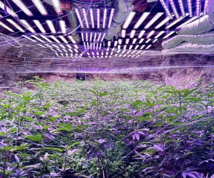 ГДБОП разкри подземна наркооранжерия за канабис в галерийна мина край Кюстендил 