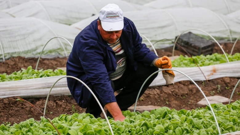 Производителите на тютюн имат още месец да се включат в регистъра