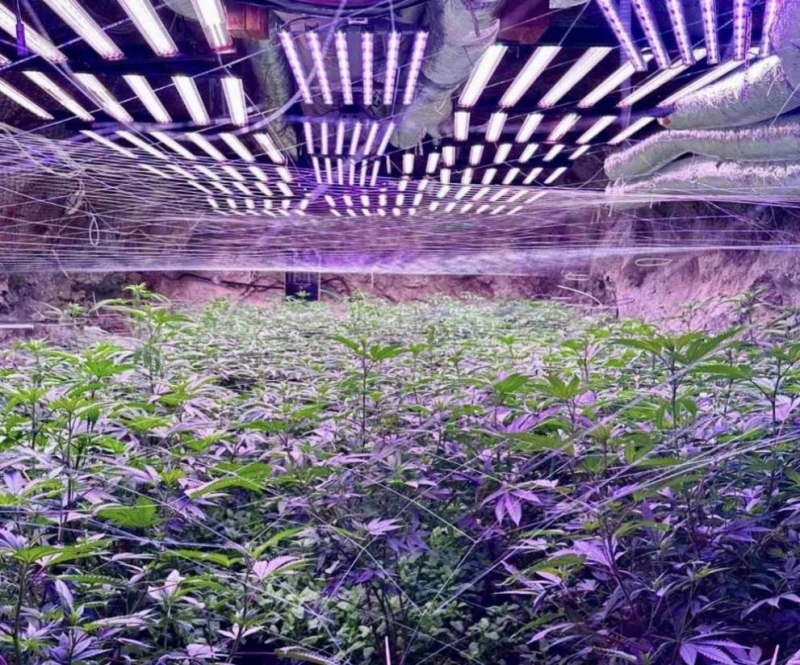 Над 20 галерии с коноп: Мина „Осогово“ се оказа цяла наркофабрика (ВИДЕО), (ОБНОВЕНО) 