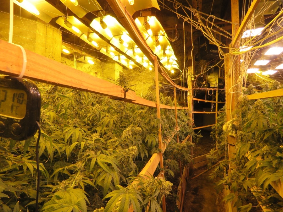 Операцията продължава: Истински подземен наркоград е покрит в галериите на оловно-цинкова мина край Кюстендил