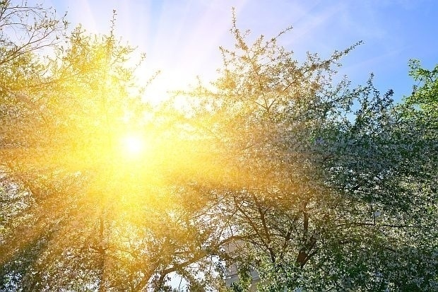 Слънчев петък с температури до 24°, през уикенда идват валежи и гръмотевици
