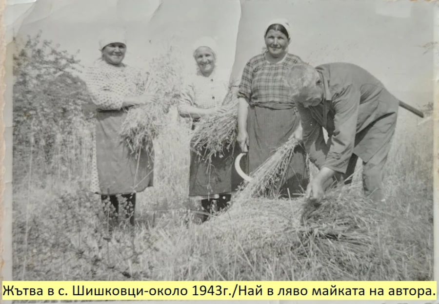 Урок по човечност от миналото! Пабиръкът на череши, ябълки и грозде изхранвал десетки бедни семейства в Кюстендилско