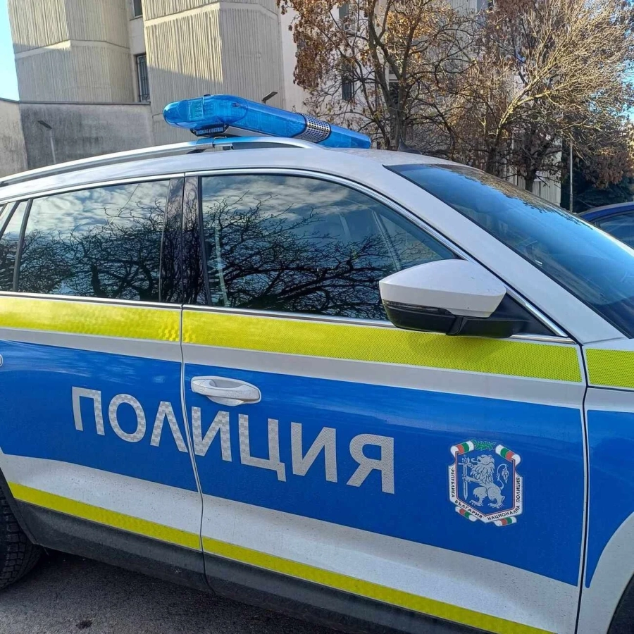 Изобретателност: Опитаха да скрият марихуана на дърво при полицейска акция в Перник