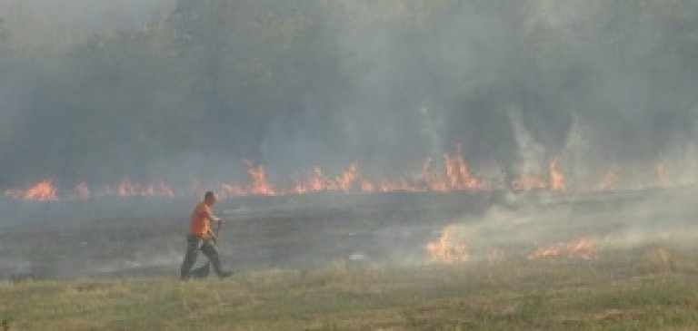 Два пожара за ден в Кюстендилско: Спасени са пет сгради, огънят засегна и 10 декара гора