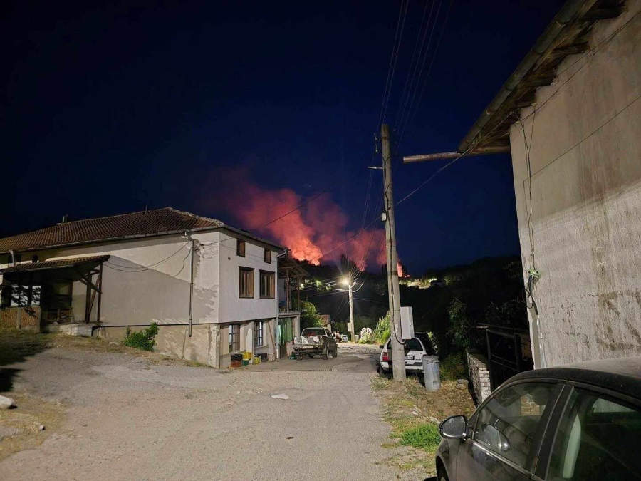 Пожарът край Илинденци е ограничен, пожарникарите с 52 сигнала за седмица в Благоевградско (ОБНОВЕНО)