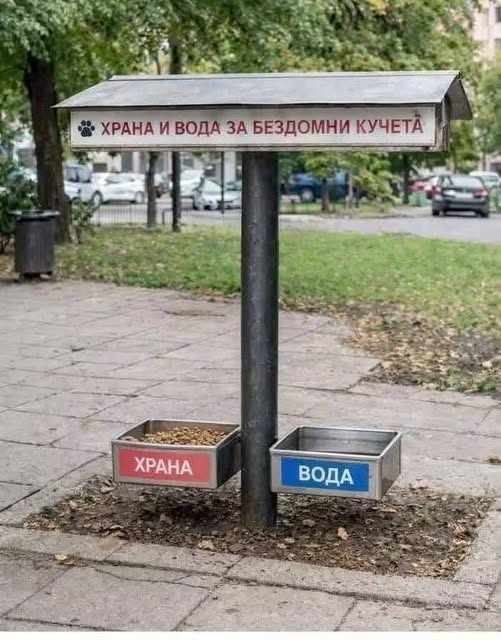 Дупничанка предлага поставянето на хранилки и поилки за бездомни животни в града