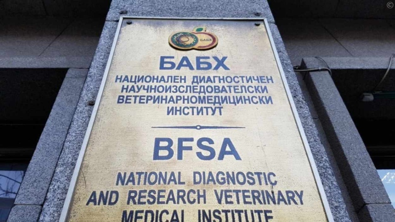 Шарка по овцете пламна във Ваксево: БАБХ обяви 5-километрова защитна зона