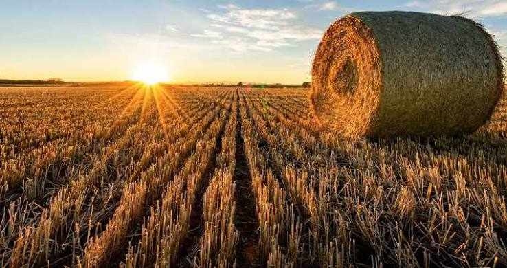 Слънце и температури до 32°, над Югозапада ще превали и прегърми