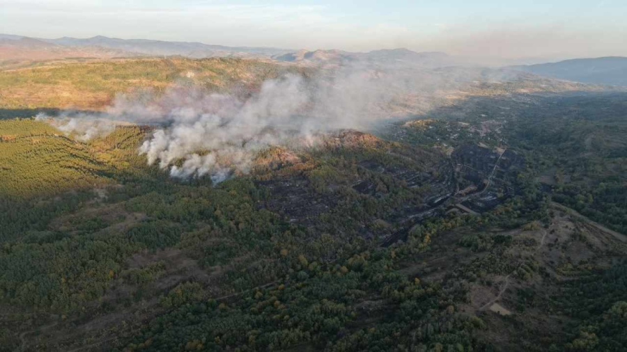 Пожар от Сърбия навлезе в България и обхвана 70 декара край Побит камък