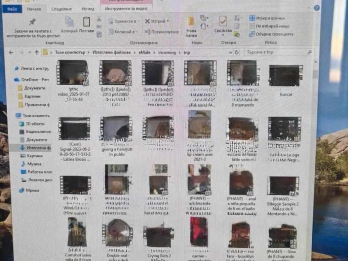 13 GB материали със сексуална експлоатация на деца откриха в София! Арестуваха 57-годишен мъж